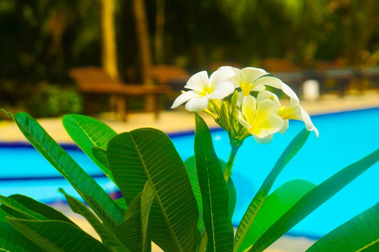 Green Garden Cabanas Tangalle Kültér fotó